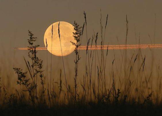 Luna del raccolto