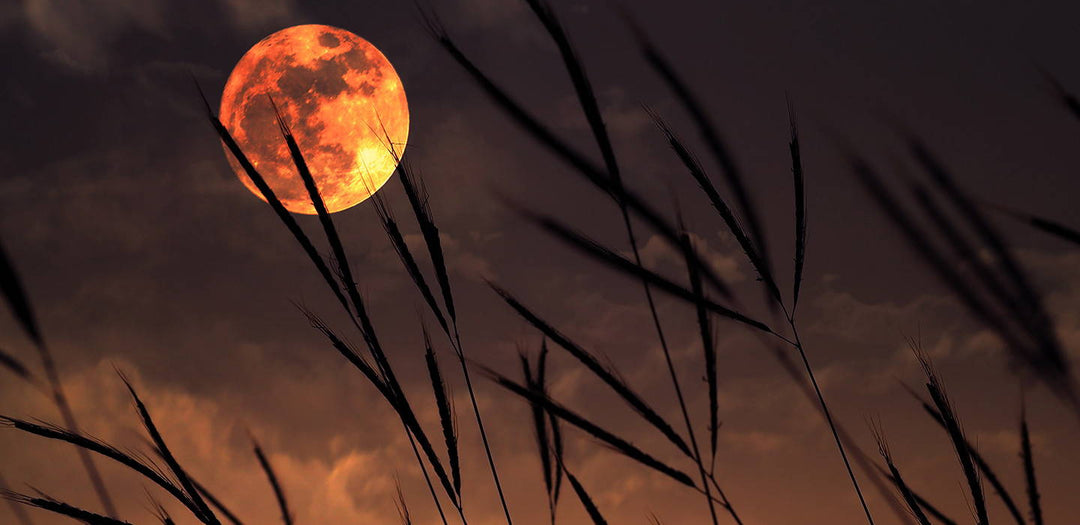 La luna del fieno