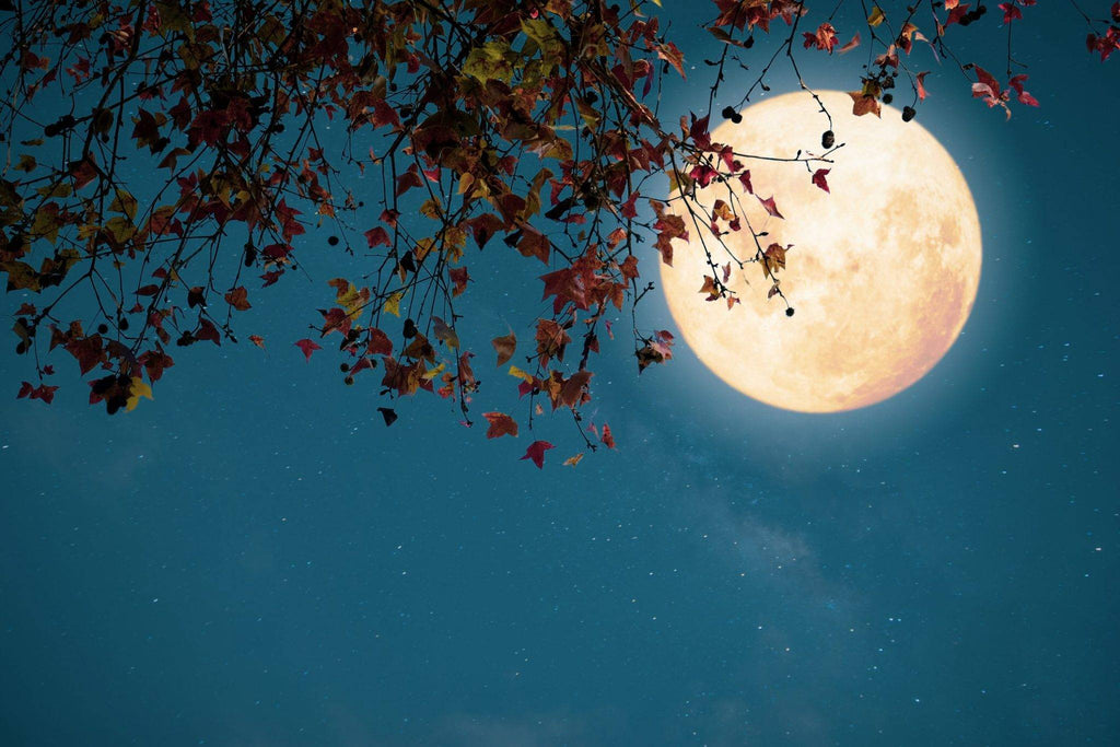 Luna del cacciatore