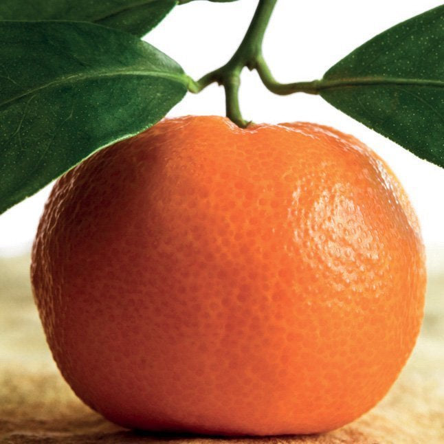 MANDARINE EXTRA