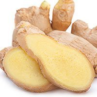 GINGER