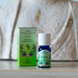 Synergy Healing and Protection