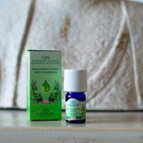 SWEET MARJORAM