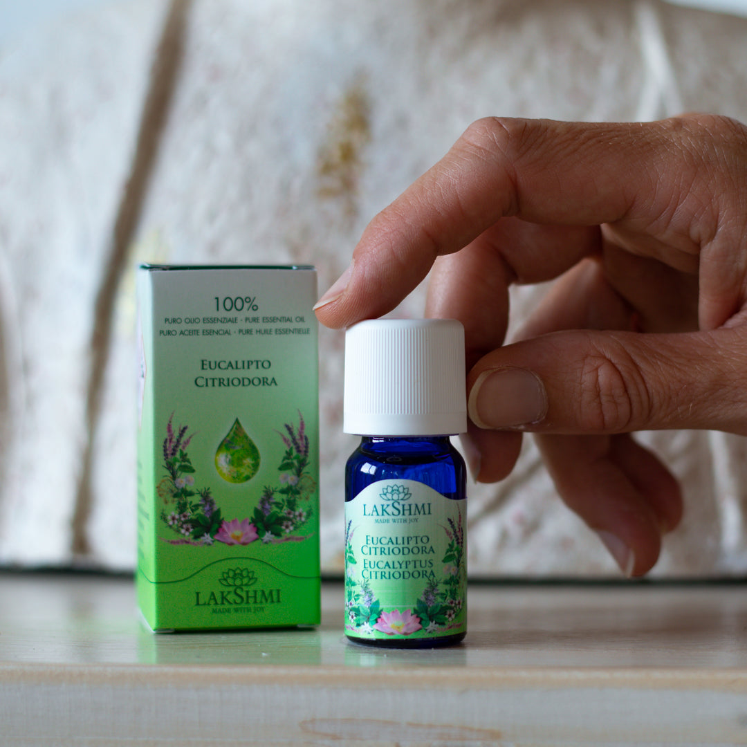 EUCALYPTUS CITRIODORA