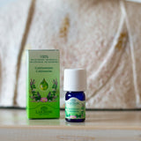 CARDAMOM